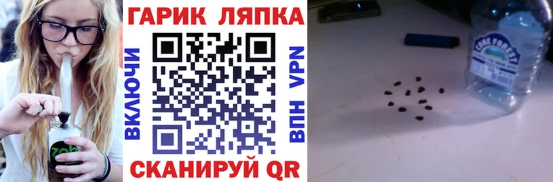ГАШ VHQ  Бронницы 