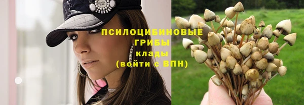бутик Бородино