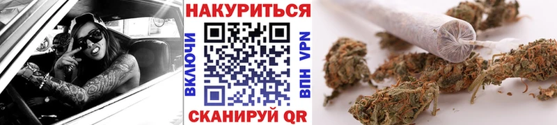 Бошки марихуана план  mega рабочий сайт  Бронницы 